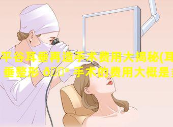 平谷耳垂再造手术费用大揭秘(耳垂整形 💮 手术的费用大概是多少钱 🌳 )